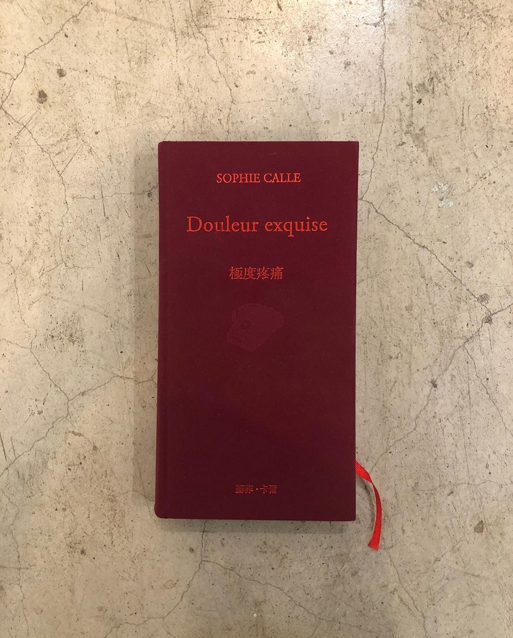 sophie calle douleur exquise 訳付き - アート/エンタメ