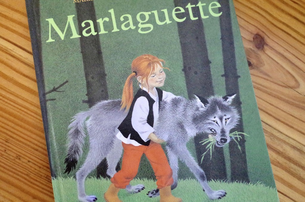 Adult's picture books1